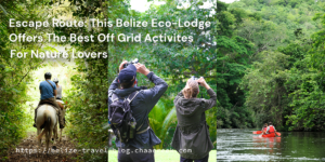 Escape Route: Eco-Lodges