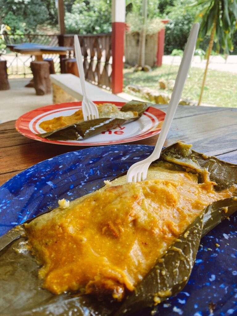 berthas tamales belize hummingbird highway
