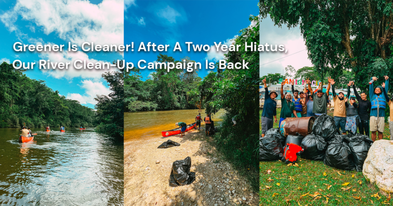 River Clean Up