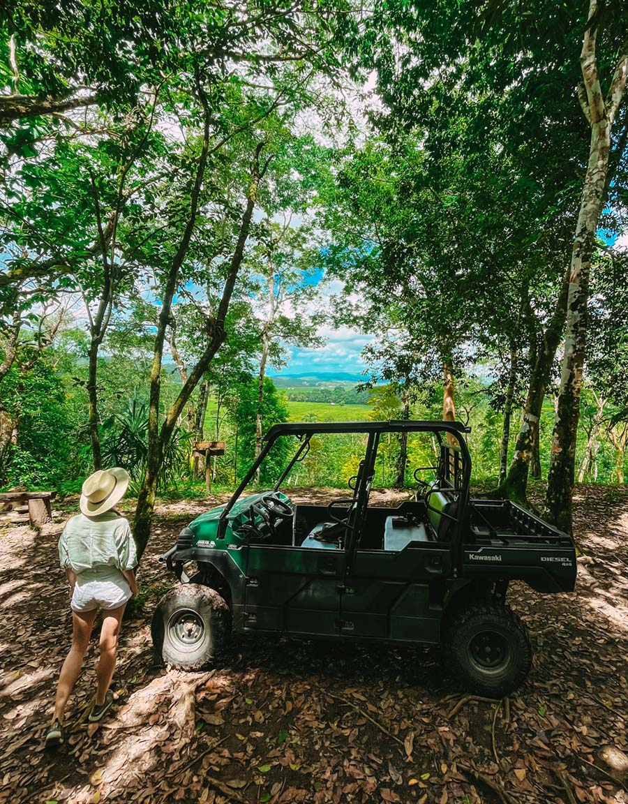 rtv rainforest safari chaa creek belize lookout views web