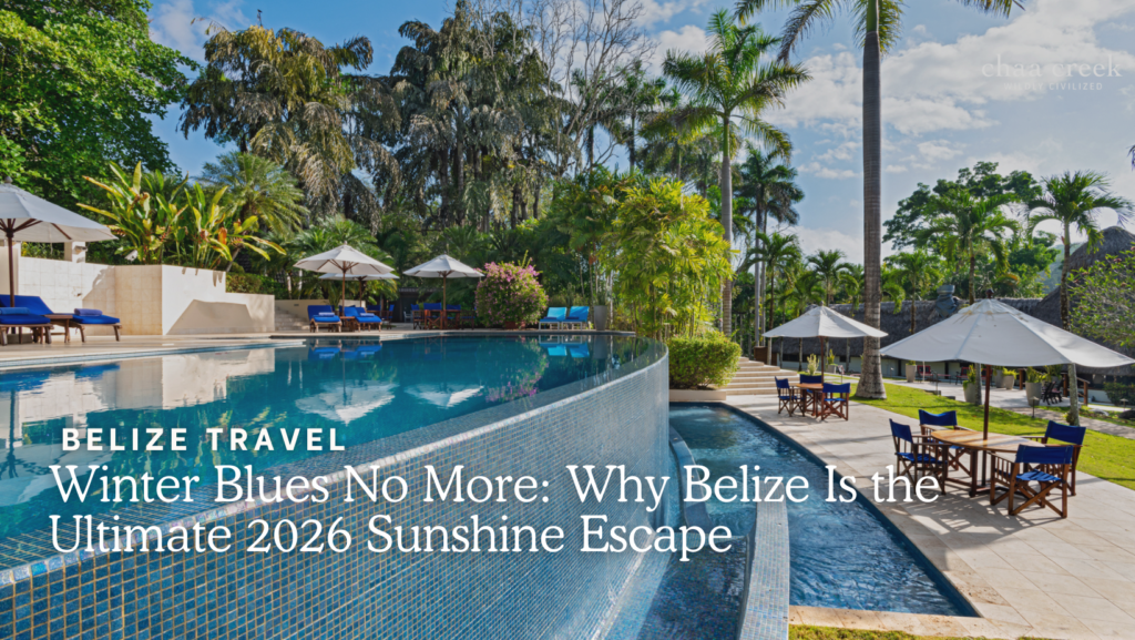 Winter Blues Belize