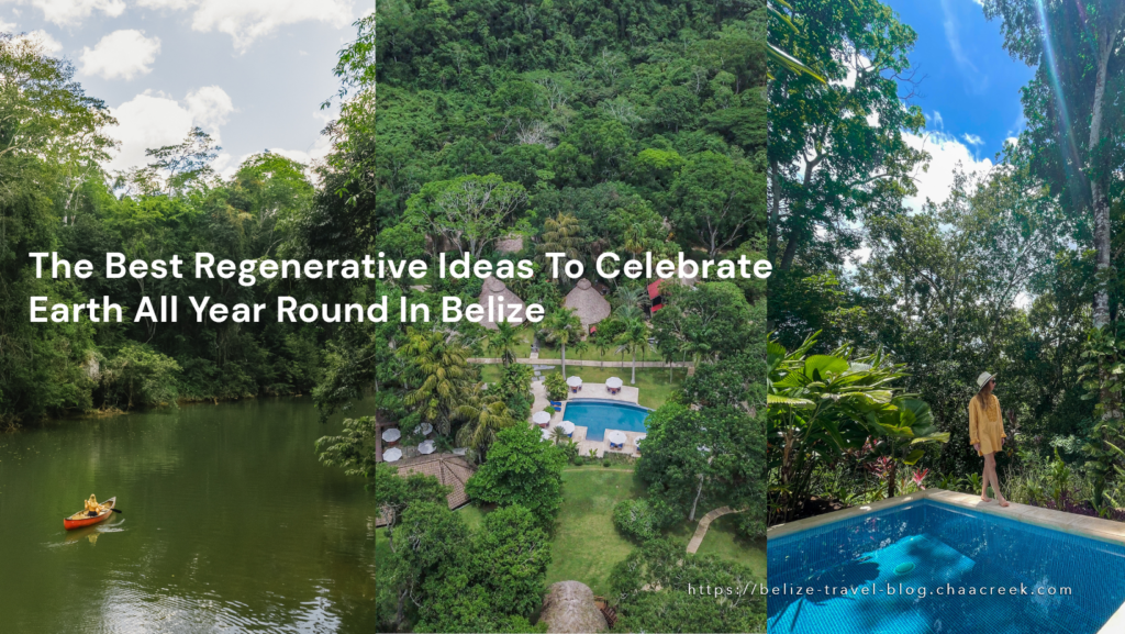 Regenerative Ideas