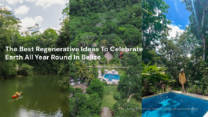Regenerative Ideas
