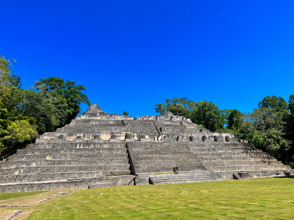 img 7138