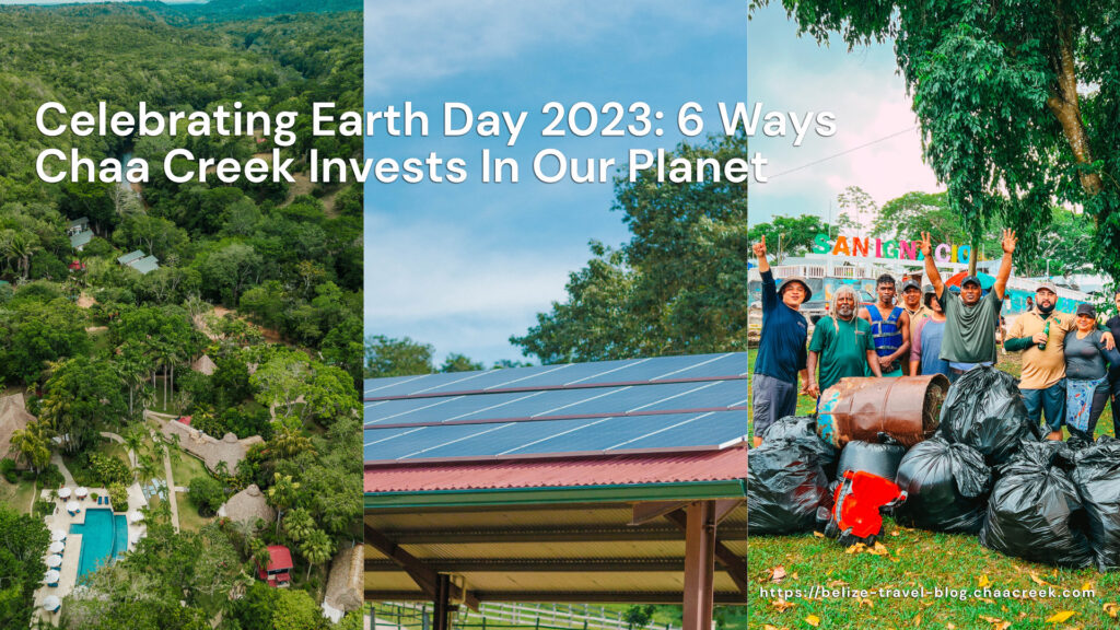 earth day 2023