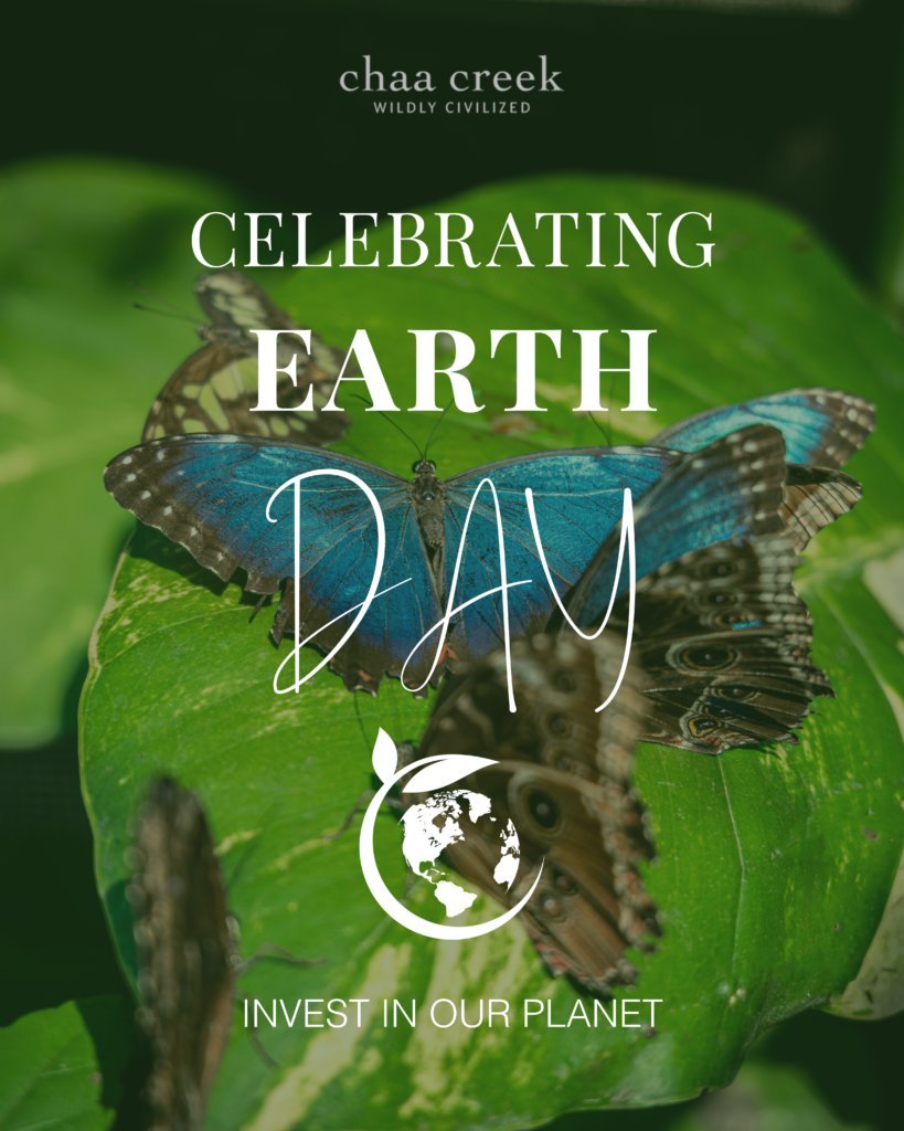 earth day 2023