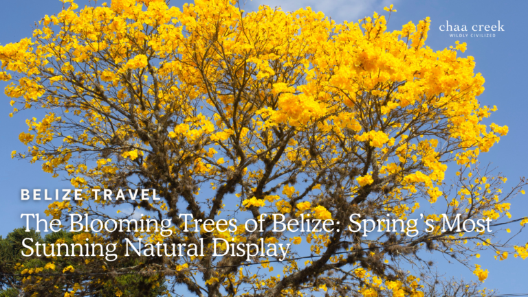Belize in Spring