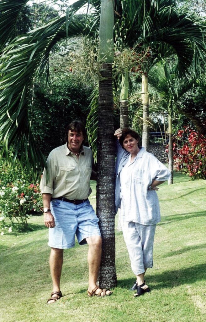 palm tree