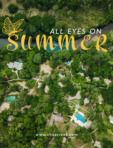 summer email 2