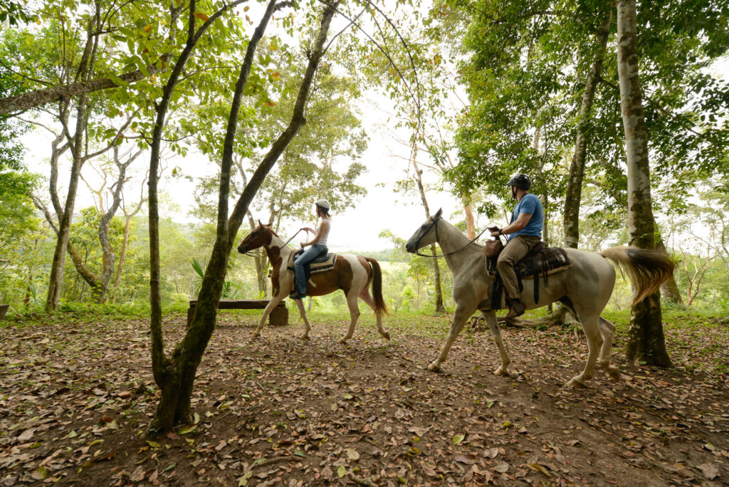 chaa creek march 2013