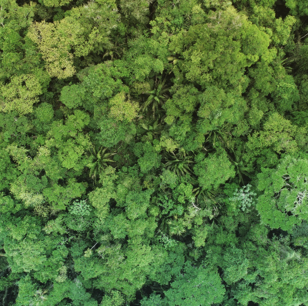 Belize protected area 