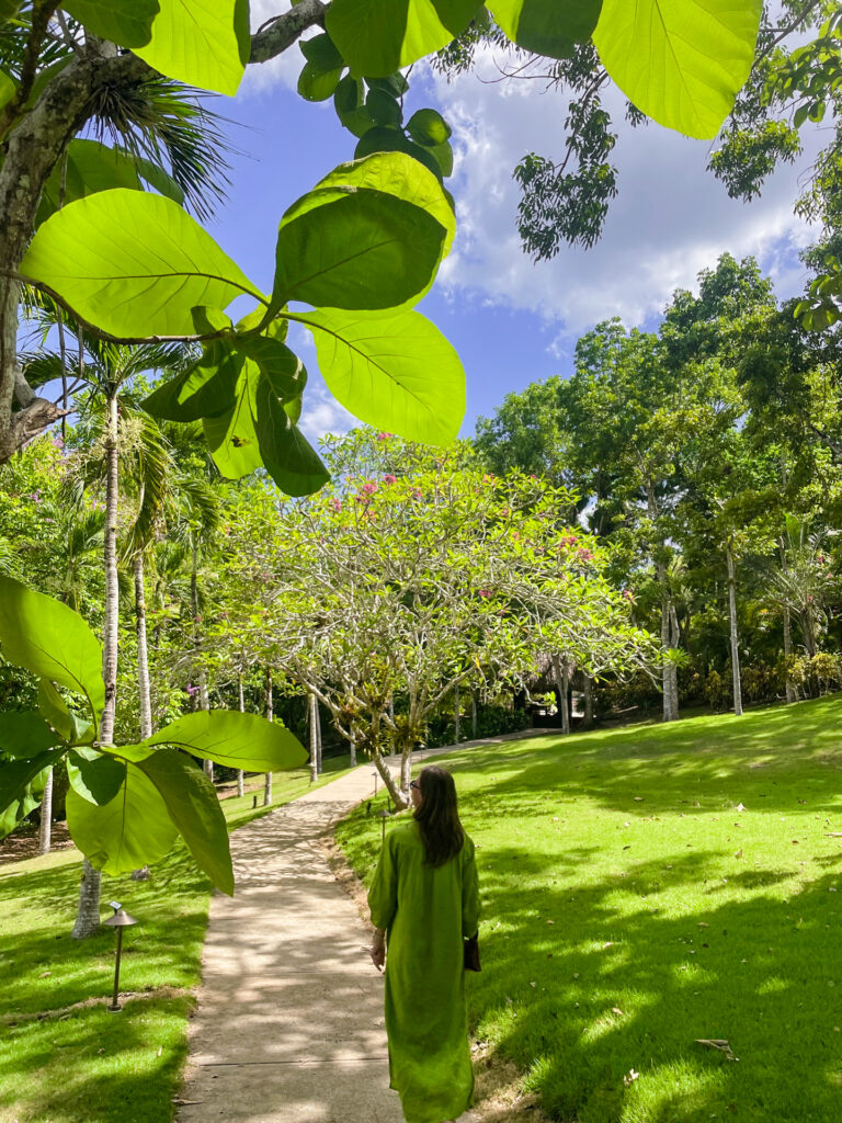 belize travel agency roeming chaa creekimg 4404