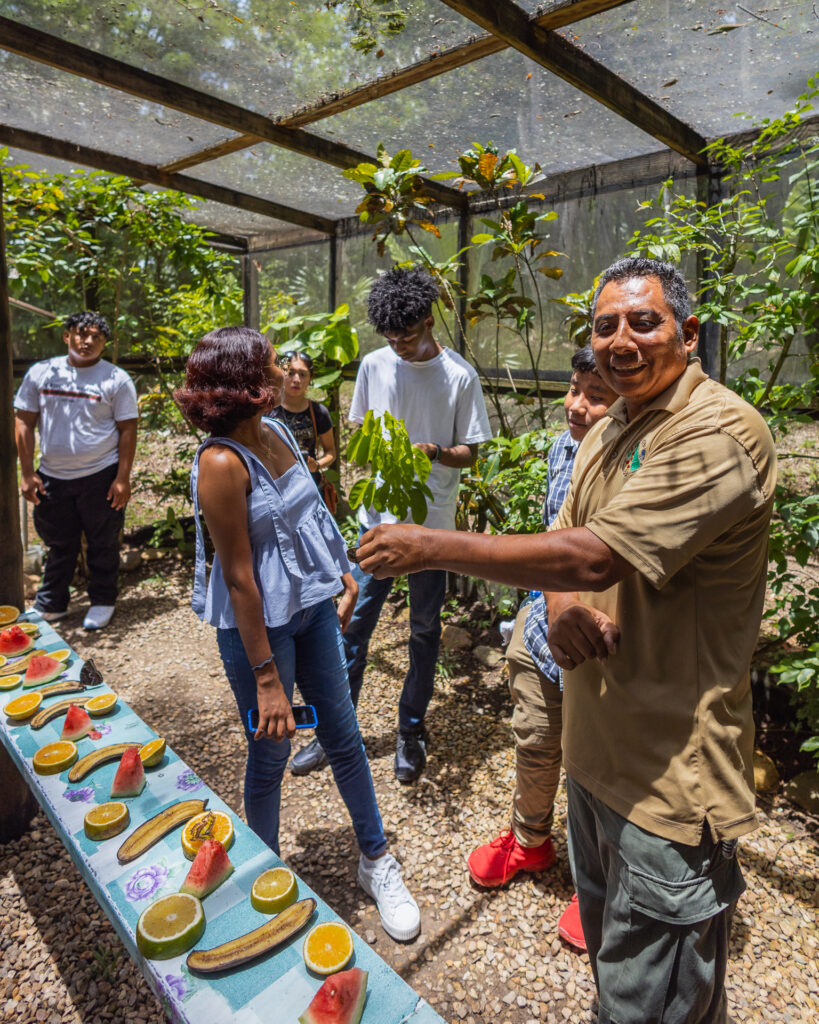 Chaa Creek Butterfly Farm 