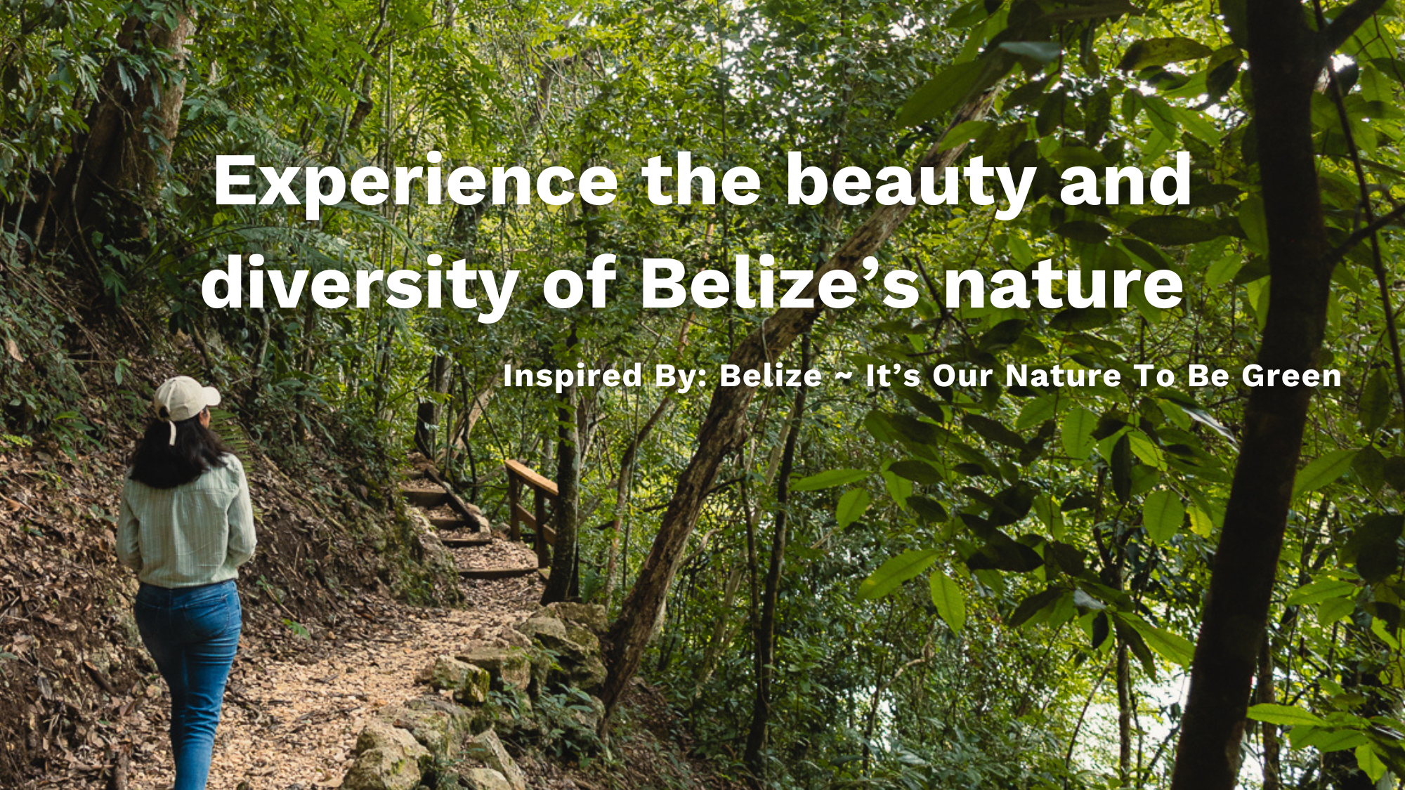 Biize Experience the beauty and diversity of Belize's nature