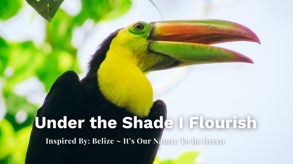 Belize-Chaa-creek-Sustainable-travel
