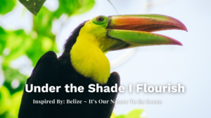 Belize-Chaa-creek-Sustainable-travel