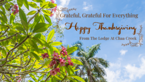 Happy-thanksgiving-belize-chaa-creek