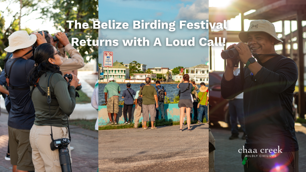 Belize Birding Destination Chaa Creek