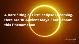 Eclipse- Belize-maya