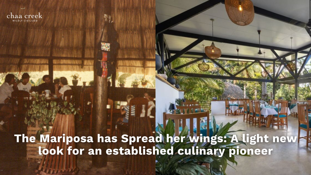 Chaa Creek Restaurant