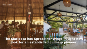 Chaa Creek Restaurant