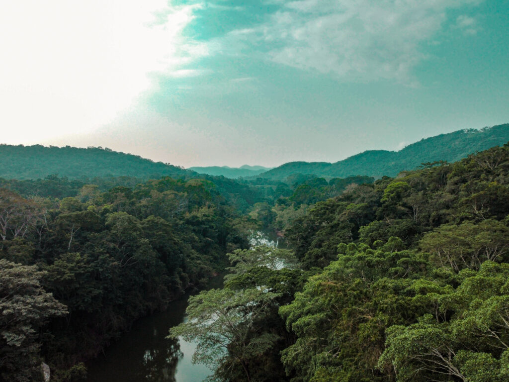 dcim100mediadji 0959.jpg