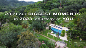 Chaa-creek-reviews-belize-vacation-places-to-visit