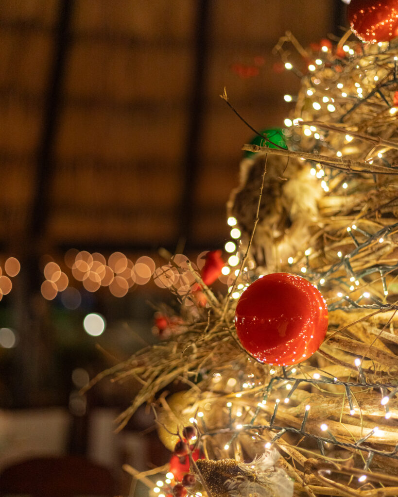 chaa creek Christmas package family vacation 