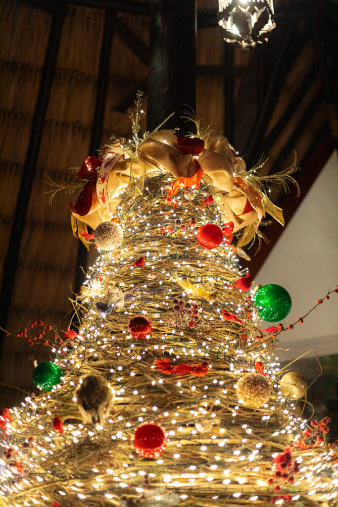 chaa creek Christmas package family vacation 