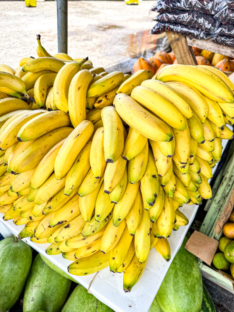 Belize Market Day San Ignacio Chaa Creek 