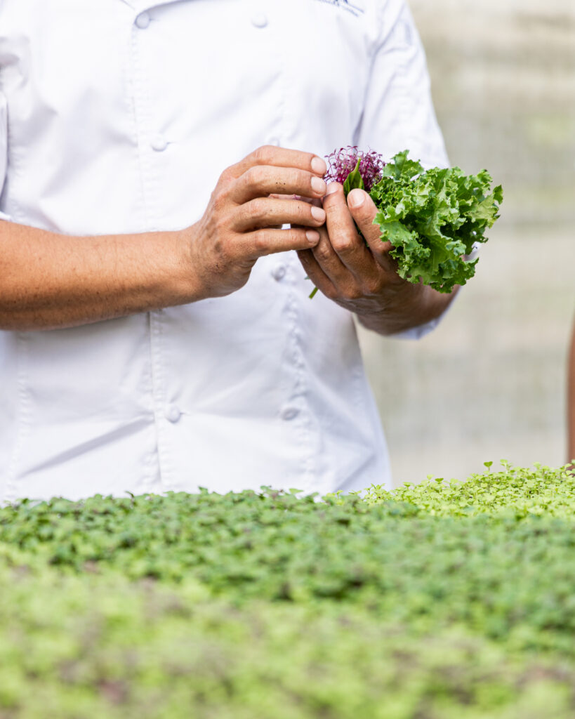 Farm to table Belize Chaa Creek sustainable practices 