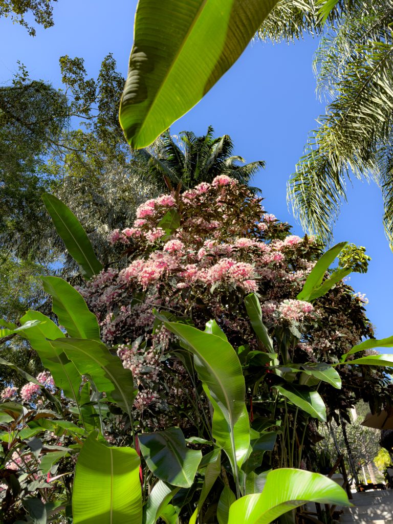 Chaa creek Spring Family Vacations 