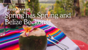 spring in belize