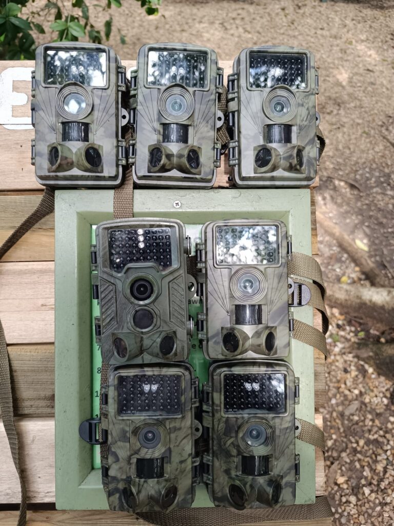 416020361 1539947499879174 5150687101055339836 n