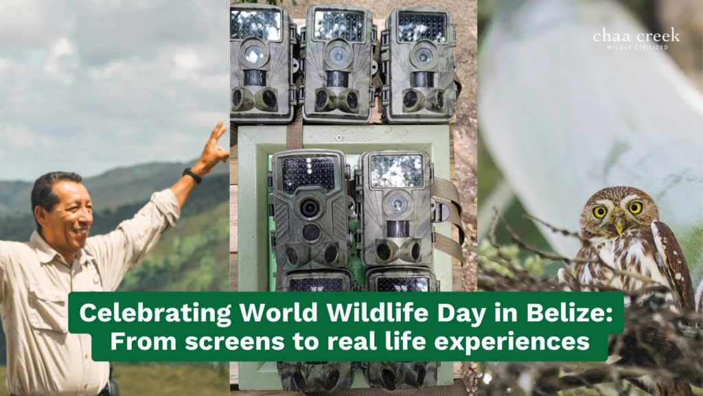 Belize Conservation World Wildlife day chaa creek