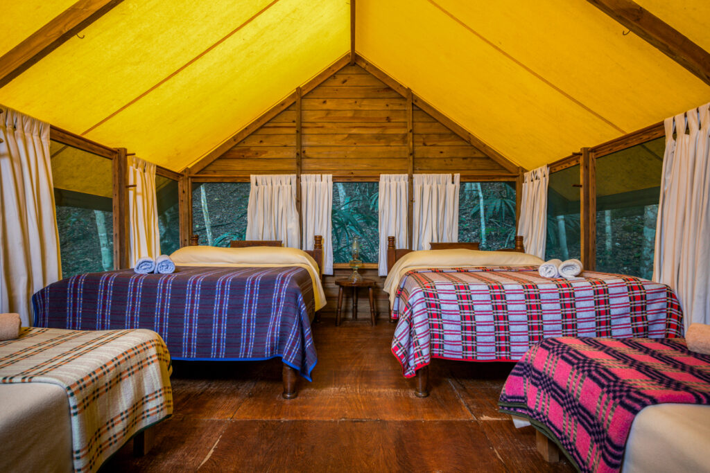 Accommodations Belize Rainforest Retreat at Cha Creek eco glamping