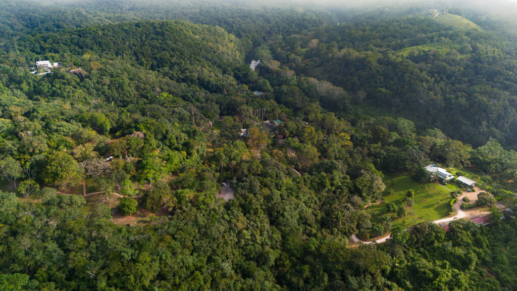 The Lodge at Chaa creek Belize jungle eco lodge