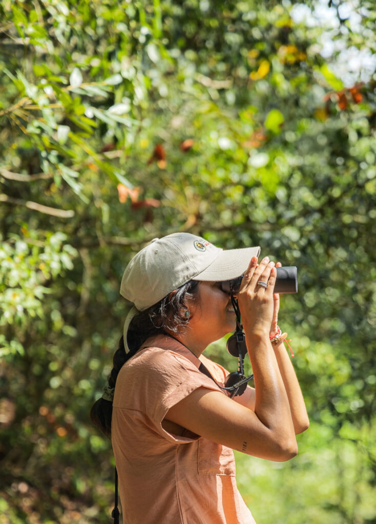 Birding Belize The Lodge at Chaa Creek