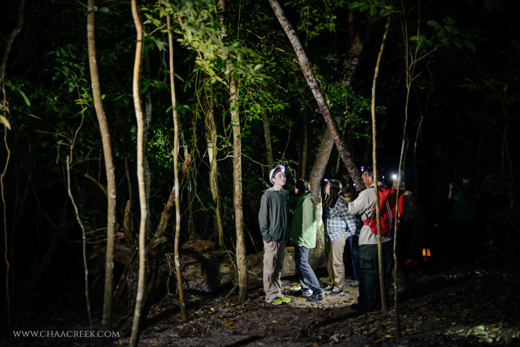 chaa creek march 2013
