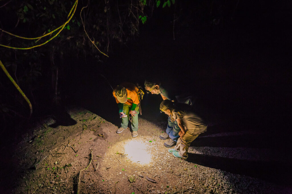 creatures of the night tour chaa creek 