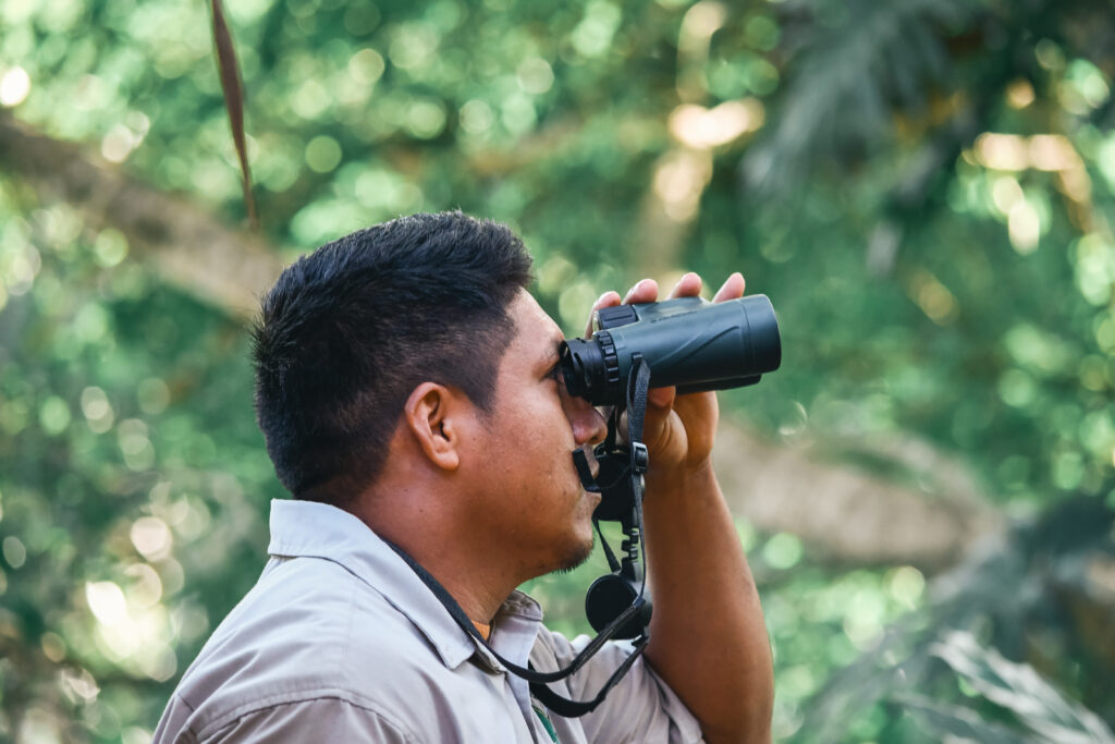 Bird watching in belize Chaa Creek 