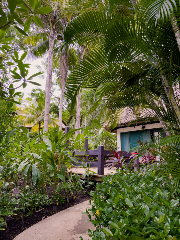 The Lodge at Chaa Creek all inclusive Christmas Package