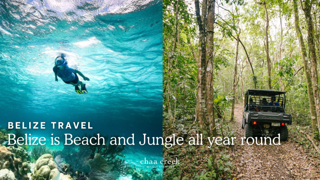 beach and jungle Belize