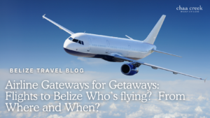 Flights To Belize
