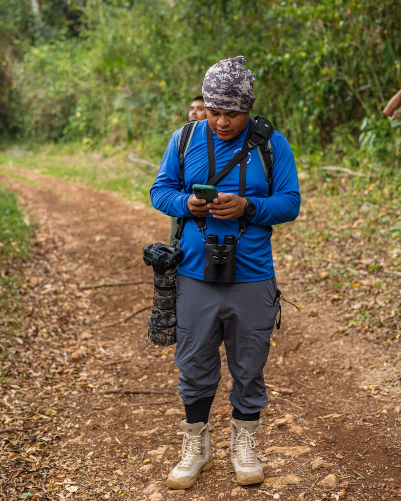 Belize Birding Vacations 