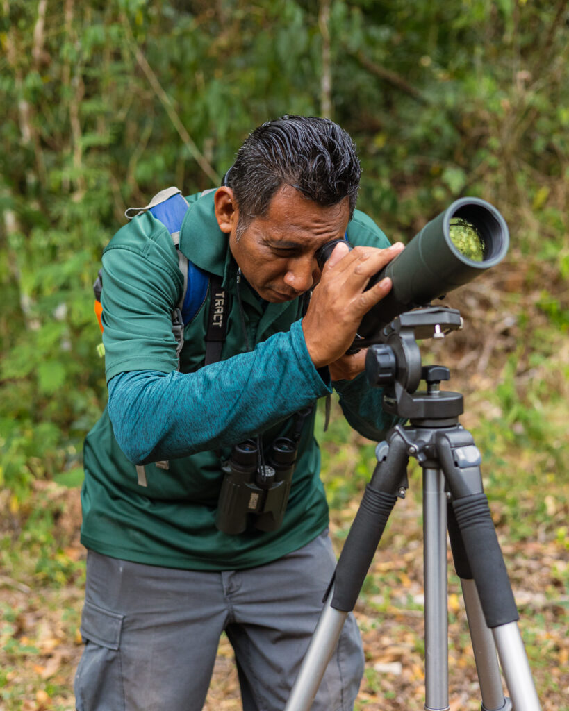 Bird Watching Belize 
