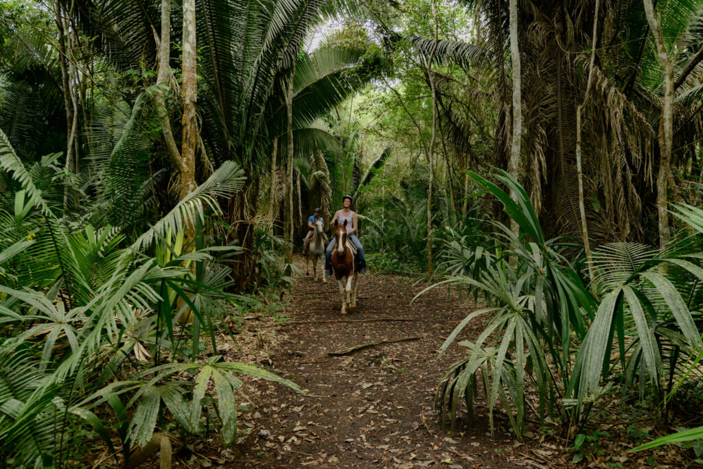 Chaa Creek Horseback Riding Tours 