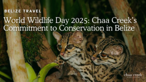 World Wildlife Day Belize Chaa Creek