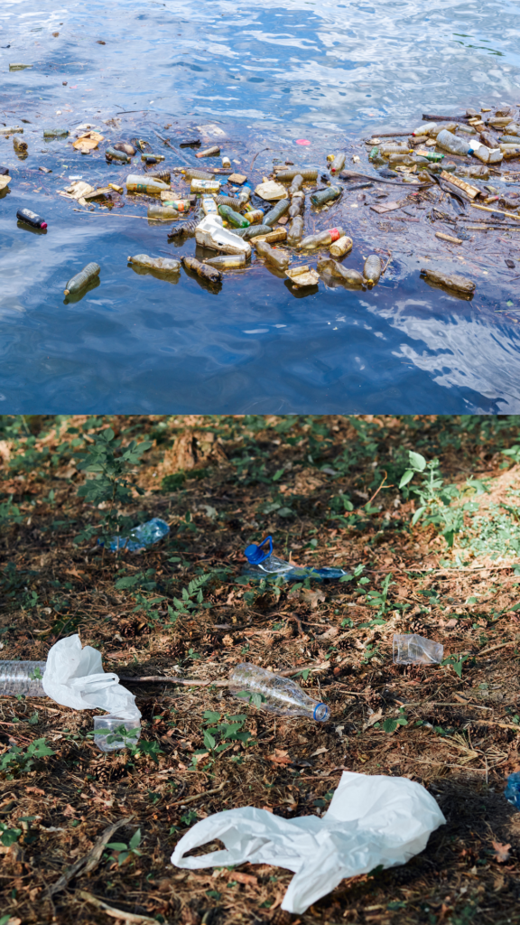 Global Plastic Problem 