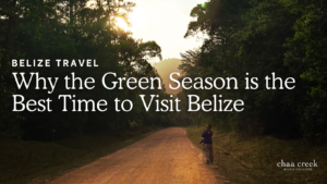 green season in belize